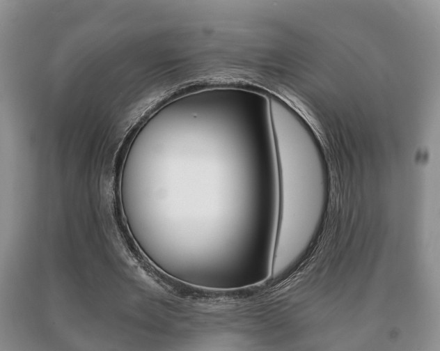 X0000091060485200708061003