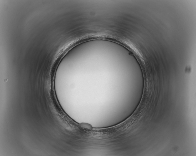 X0000091060486200708061003