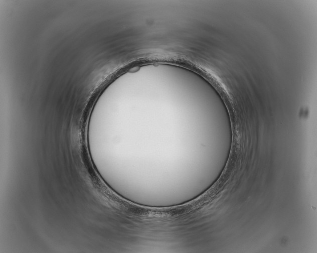 X0000091060487200708061003