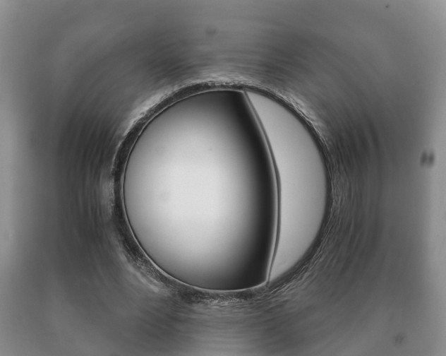 X0000091060488200708061003