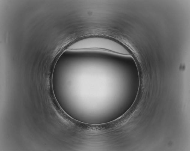 X0000091060489200708061003