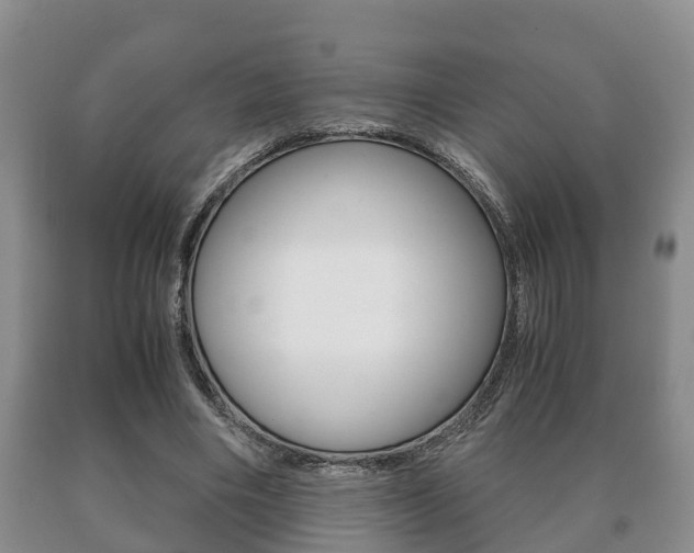 X0000091060490200708061003