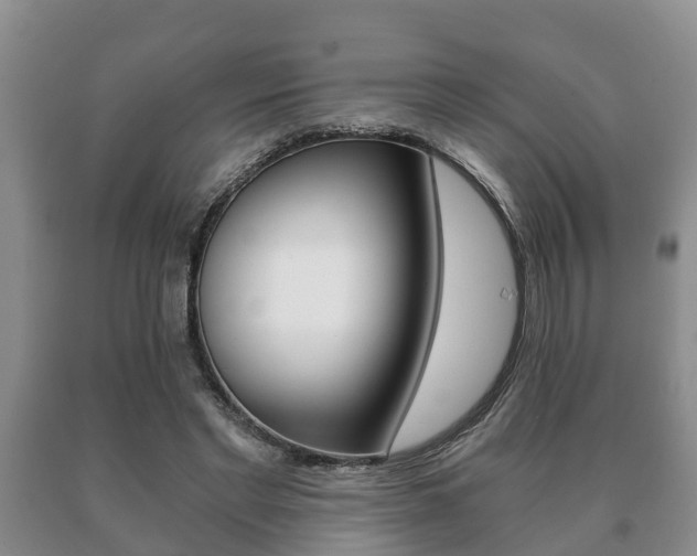 X0000091060493200708061003