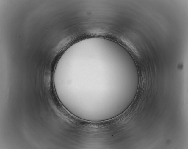 X0000091060494200708061003