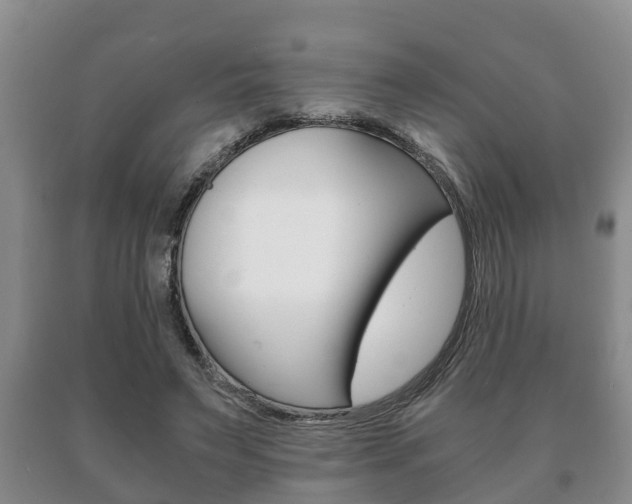 X0000091060495200708061003
