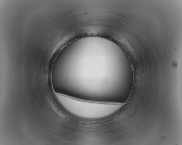 X0000091060496200708061003