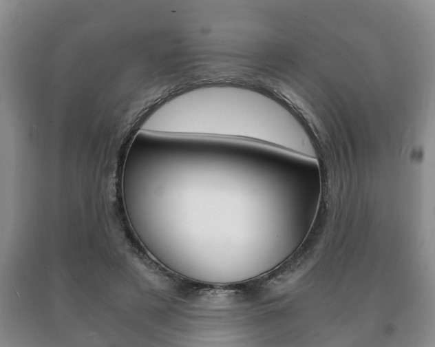 X0000091060497200708061003