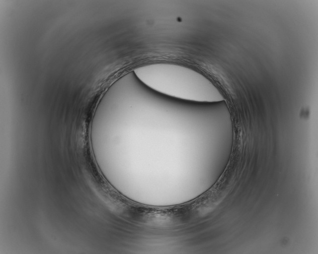 X0000091060498200708061003