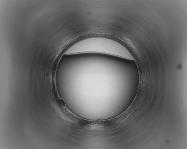 X0000091060500200708061003