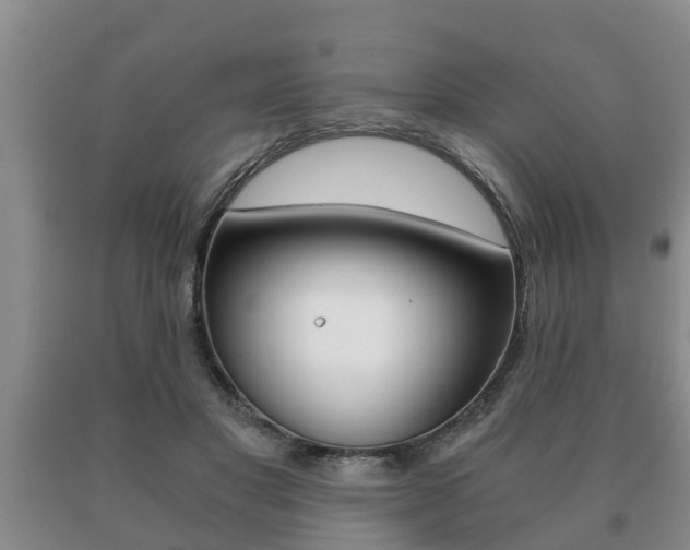 X0000091060501200708061003