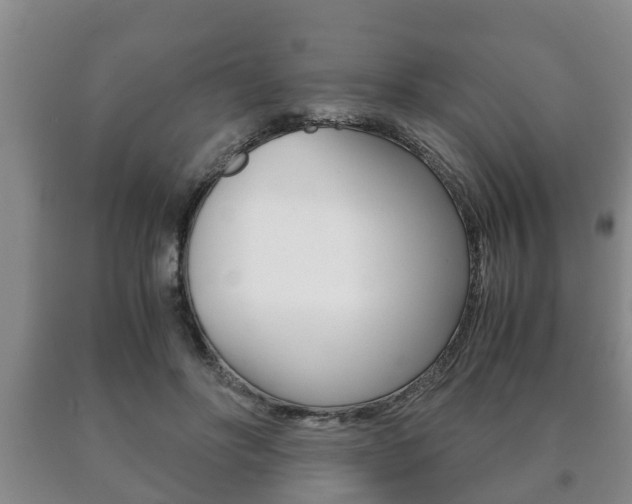 X0000091060502200708061003