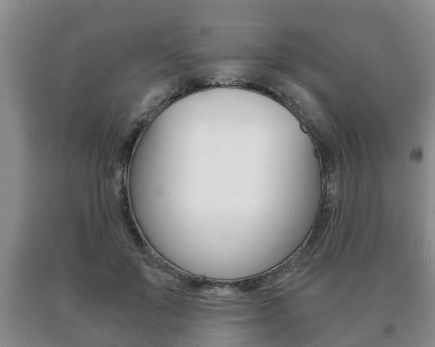 X0000091060503200708061003