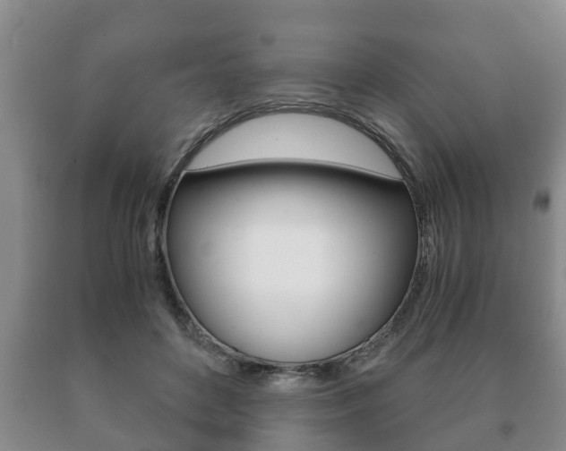 X0000091060504200708061003