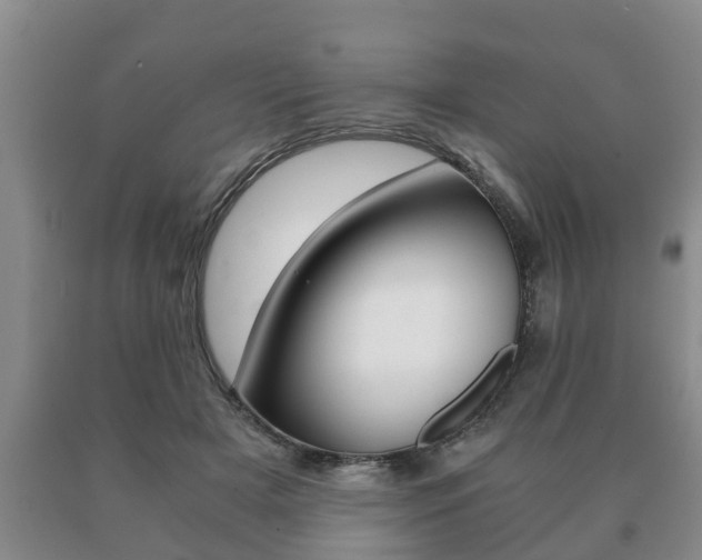 X0000091060505200708061003