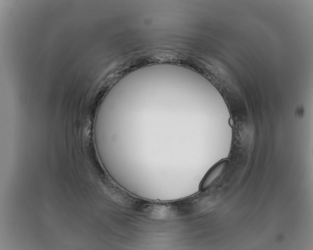 X0000091060507200708061003