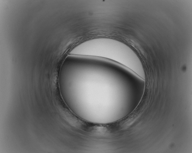 X0000091060509200708061003