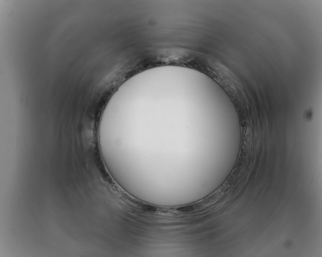 X0000091060510200708061003