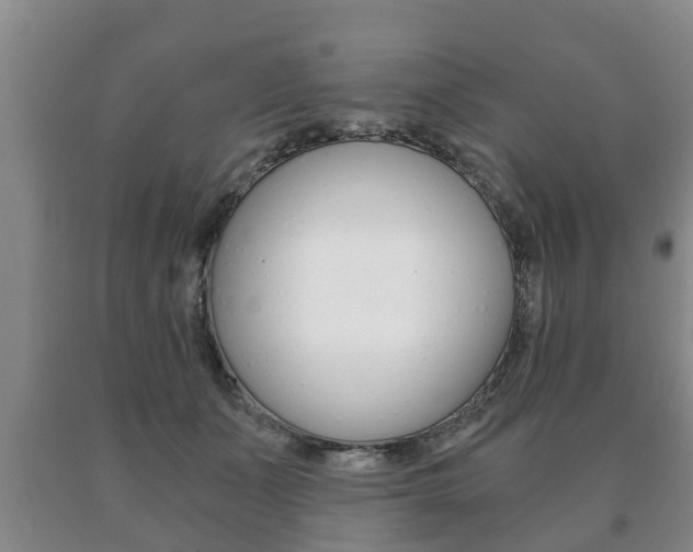 X0000091060511200708061003