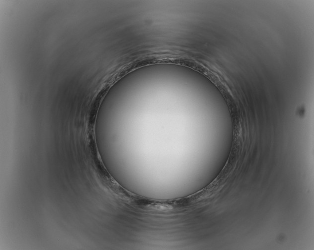 X0000091060512200708061003