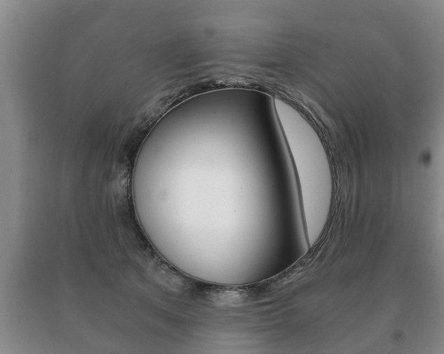 X0000091060513200708061003