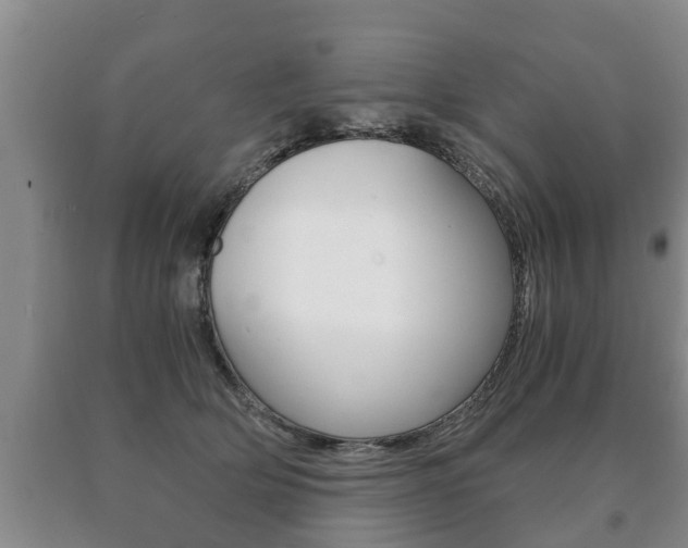 X0000091060514200708061003