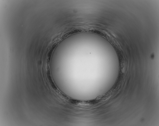 X0000091060515200708061003