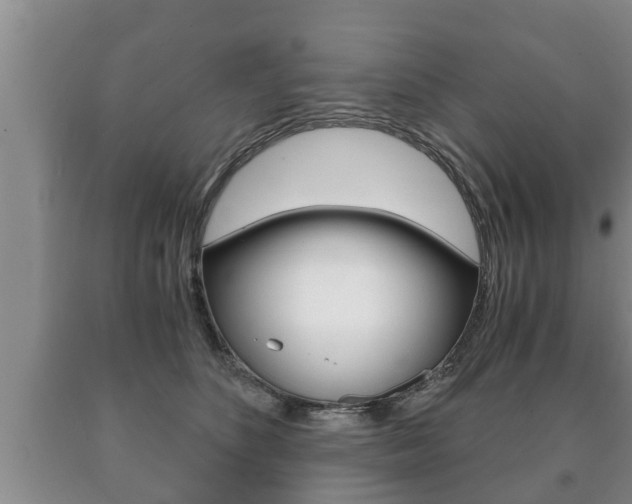 X0000091060516200708061003