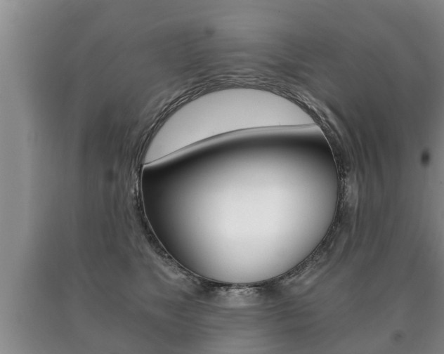 X0000091060517200708061003