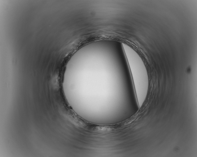 X0000091060520200708061003