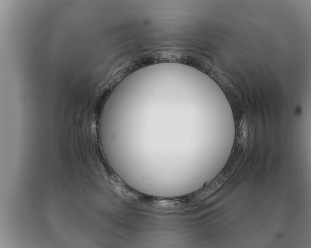 X0000091060522200708061003