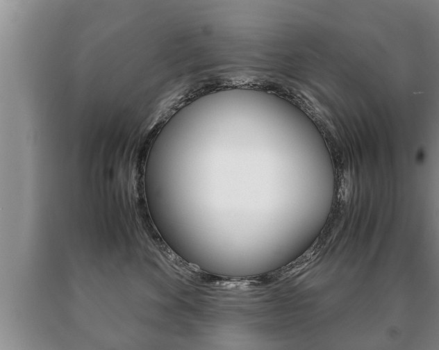 X0000091060524200708061003