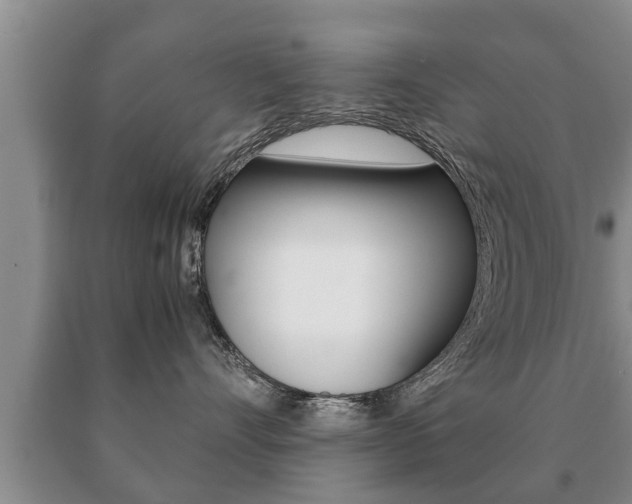 X0000091060528200708061003