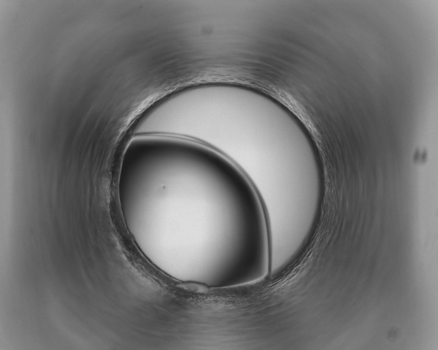 X0000091060530200708061002