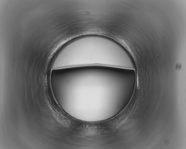 X0000091060531200708061002