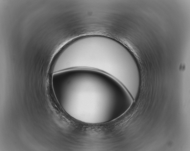 X0000091060532200708061002