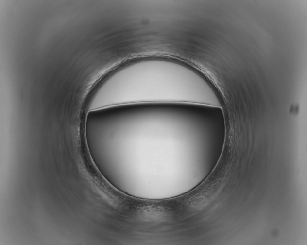 X0000091060535200708061002