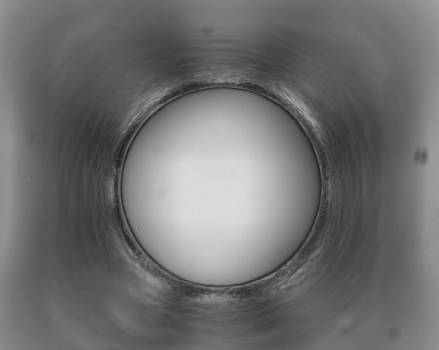 X0000091060537200708061002