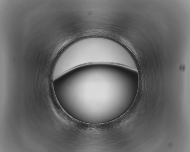 X0000091060538200708061002