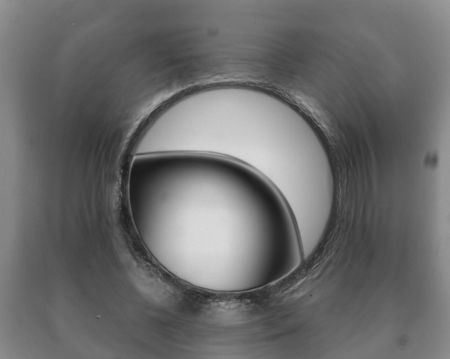 X0000091060540200708061002