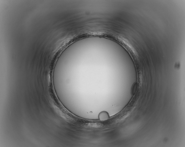 X0000091060541200708061002