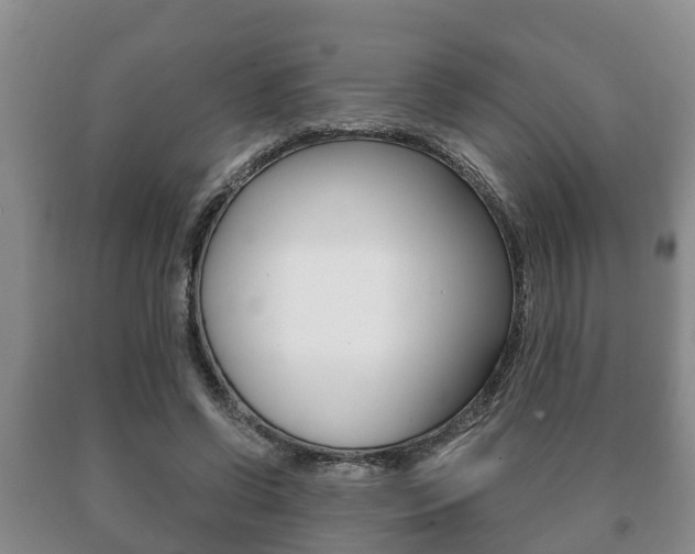 X0000091060542200708061002