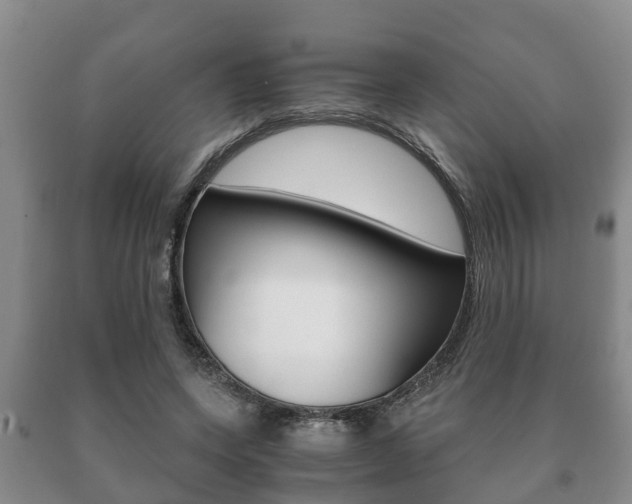 X0000091060543200708061002