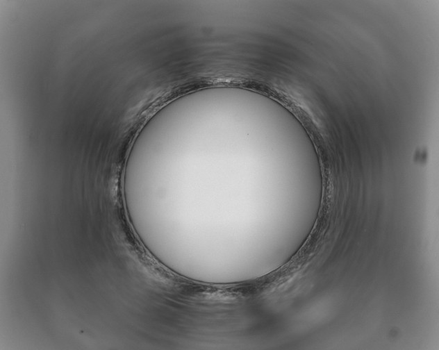 X0000091060545200708061002
