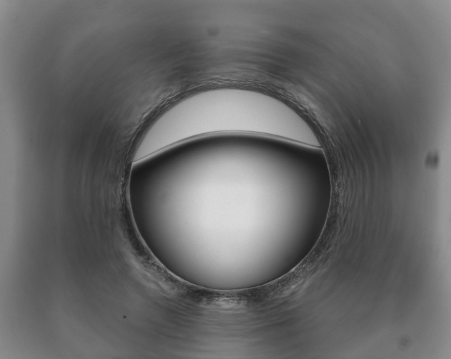 X0000091060546200708061002
