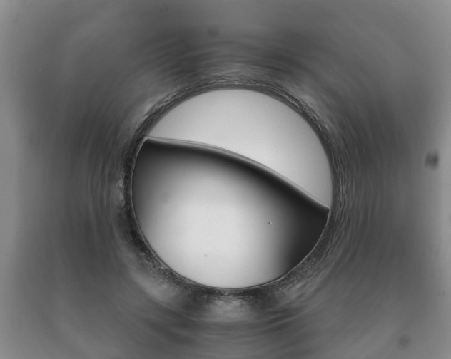 X0000091060547200708061002