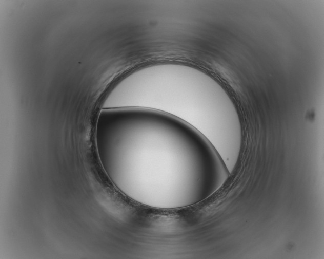 X0000091060548200708061002