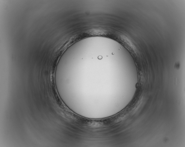 X0000091060549200708061002