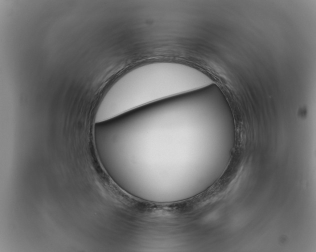 X0000091060550200708061002