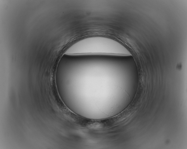 X0000091060551200708061002
