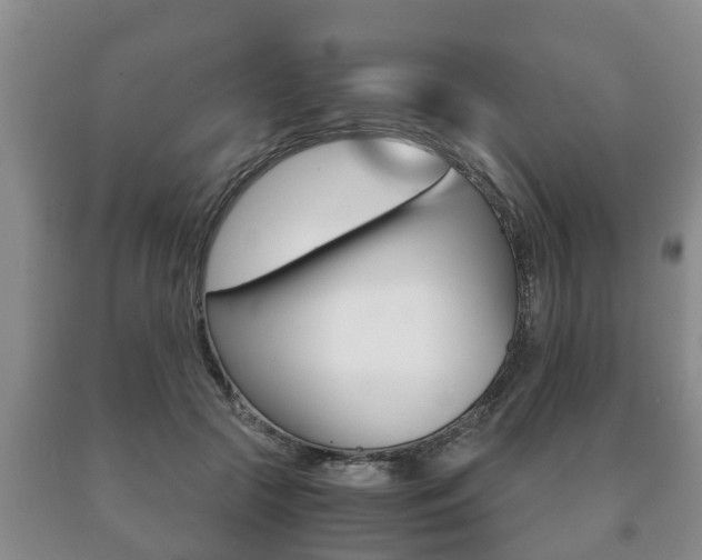 X0000091060553200708061002